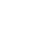 RexAmy Photography